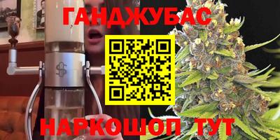 гидра Гай