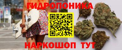 Альфа ПВП Гагарин