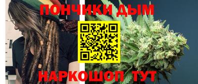 гидра Гай