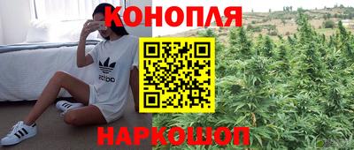 ешки Гатчина