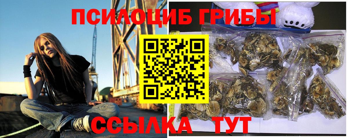 Галлюциногенные грибы прущие грибы  Вход с VPN  Миллерово 